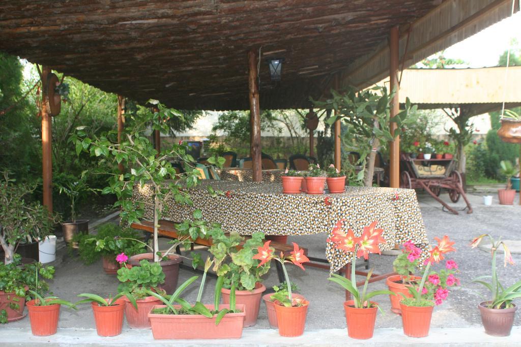 Guest House Edelvais Dve Mogili Ngoại thất bức ảnh